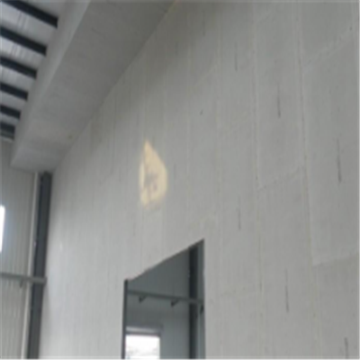 徐汇新型建筑材料掺多种工业废渣的ALC|ACC|FPS模块板材轻质隔墙板